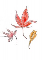 http://www.francesleeceramics.com/files/gimgs/th-31_Autumn leaves 1 web.jpg